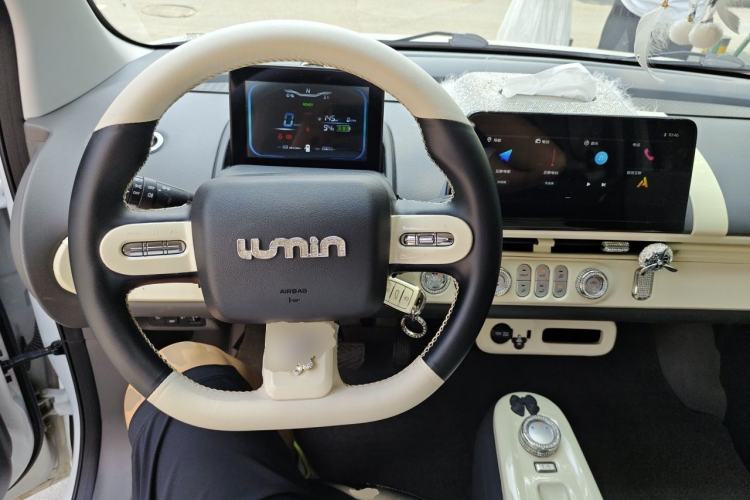 Used CHANGAN NEVO Lumin 2022 155 km – Refreshingly Sweet Edition Steering Wheel