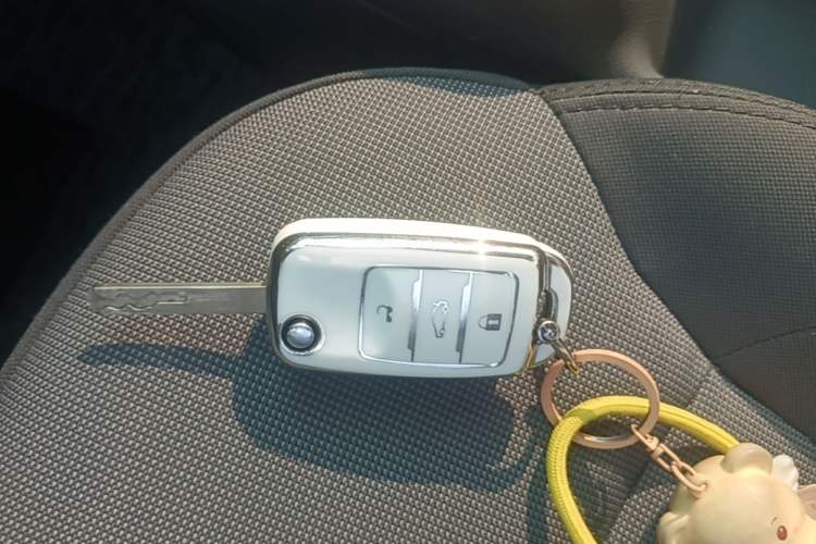 Used CHANGAN NEVO Lumin 2022 155 km – Refreshingly Sweet Edition Vehicle Key