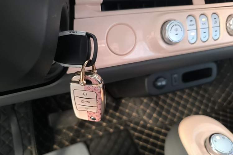 Used CHANGAN NEVO Lumin 2022 155 km – Refreshingly Sweet Edition Vehicle Key