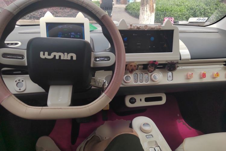 Used CHANGAN NEVO Lumin 2022 210km Sweet Edition Center Console