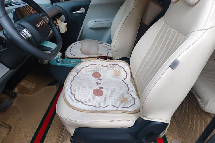 Used CHANGAN NEVO Lumin 2022 301km Honey-Sweet Version Left Front Seat