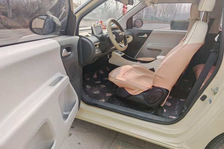 Used CHANGAN NEVO Lumin 2022 210km Sweet Edition Left Front Seat