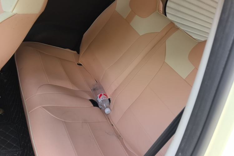 Used CHANGAN NEVO Lumin 2022 301km Honey-Sweet Version Left Rear Seat