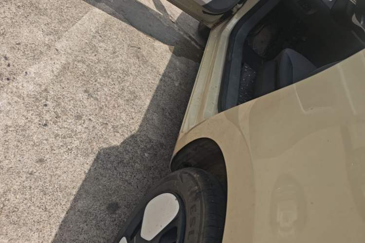 Used CHANGAN NEVO Lumin 2022 210km Sweet Edition Left Side Sill