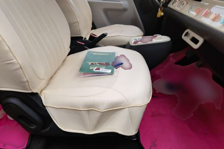 Used CHANGAN NEVO Lumin 2022 210km Sweet Edition Right Front Seat