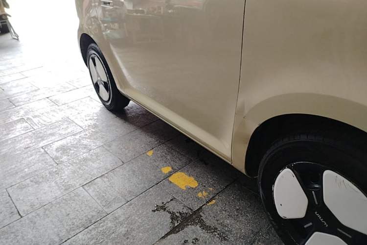 Used CHANGAN NEVO Lumin 2022 210km Sweet Edition Right Side Sill