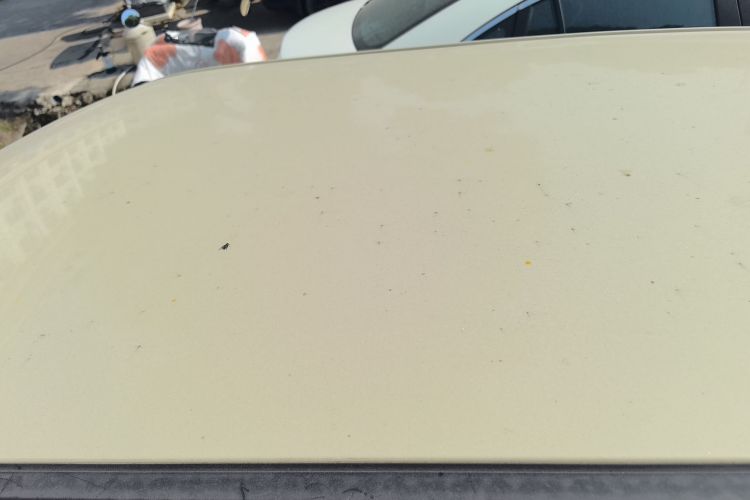 Used CHANGAN NEVO Lumin 2022 301km Honey-Sweet Version Roof