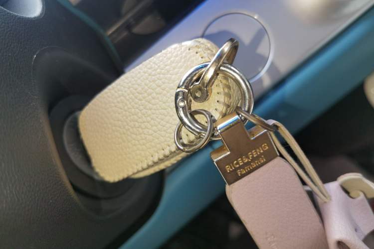Used CHANGAN NEVO Lumin 2022 210km Sweet Edition Vehicle Key