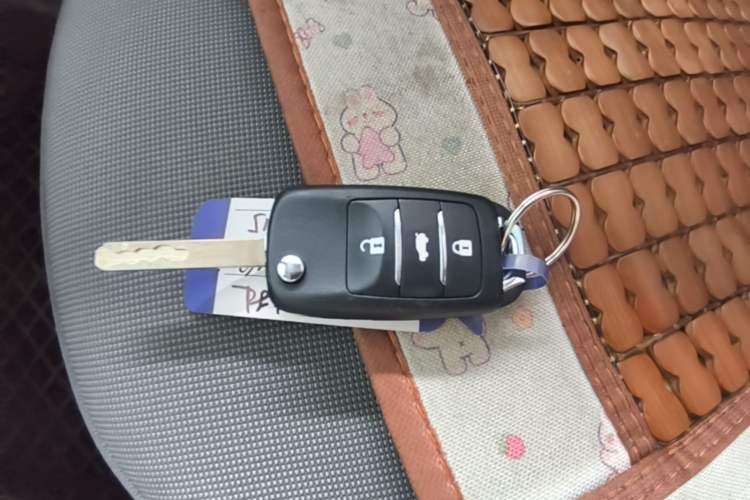 Used CHANGAN NEVO Lumin 2023 205km Xiangqin Version Vehicle Key