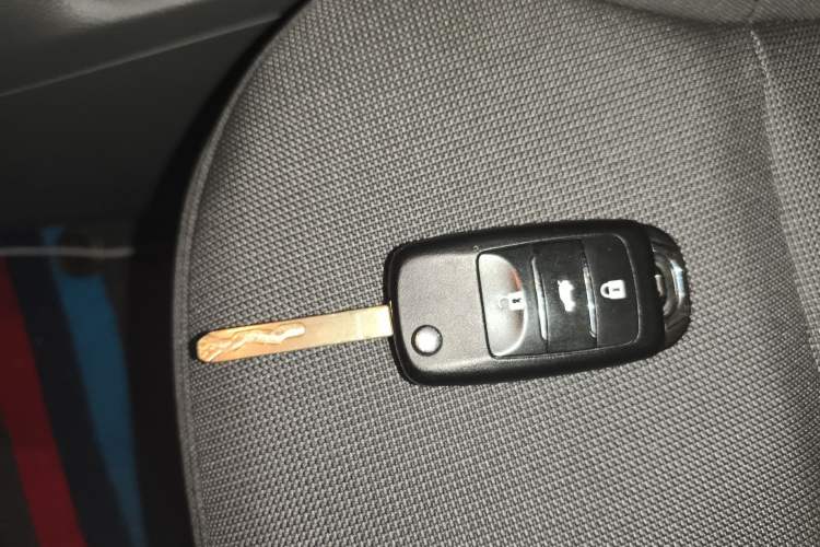 Used CHANGAN NEVO Lumin 2023 301km Honey Dew Edition Interior 1