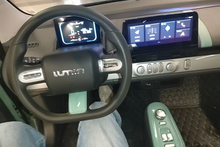 Used CHANGAN NEVO Lumin 2023 205km Xiangqin Version Center Console