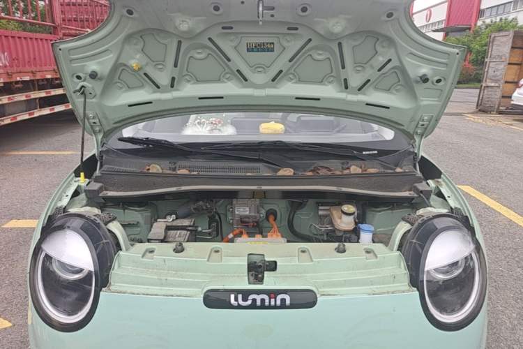 Used CHANGAN NEVO Lumin 2023 205km Xiangqin Version Engine Bay