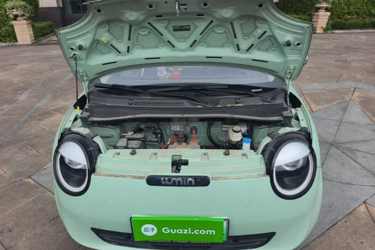 Used CHANGAN NEVO Lumin 2023 205km Xiangqin Version Engine Bay