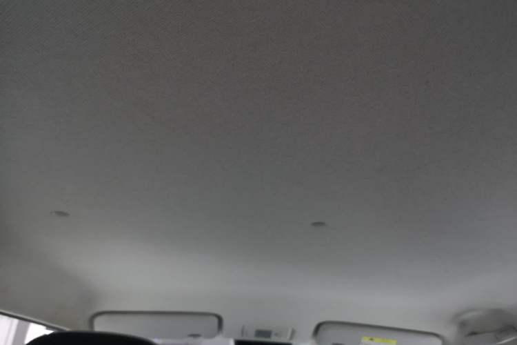 Used CHANGAN NEVO Lumin 2023 301km Honey Dew Edition Headliner