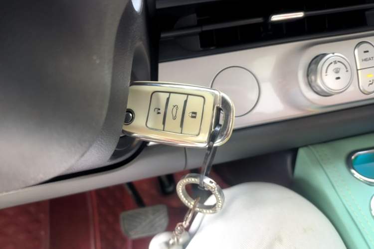 Used CHANGAN NEVO Lumin 2023 301km Honey Dew Edition Interior 1