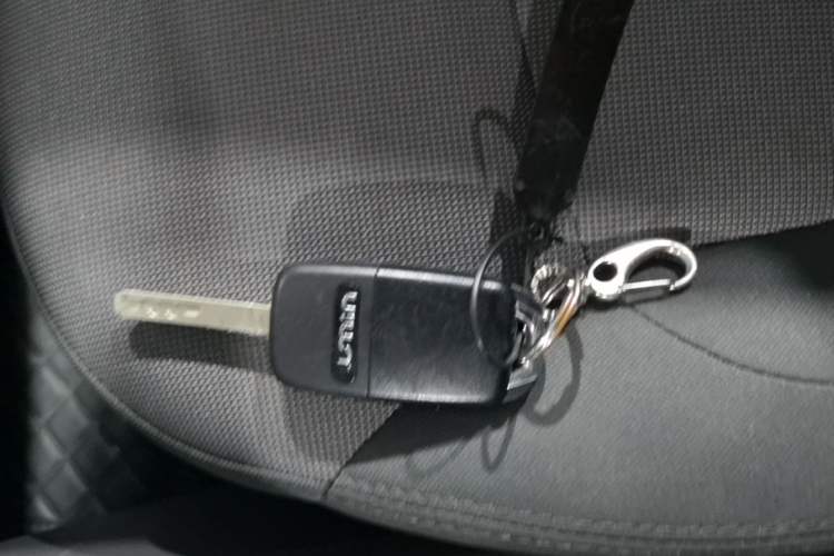 Used CHANGAN NEVO Lumin 2023 301km Honey Dew Edition Interior 1