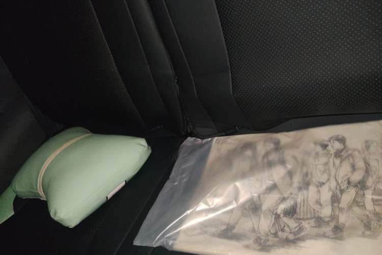 Used CHANGAN NEVO Lumin 2023 205km Xiangqin Version Interior 4