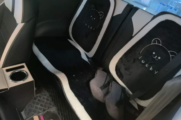 Used CHANGAN NEVO Lumin 2023 205km Xiangqin Version Left Rear Seat