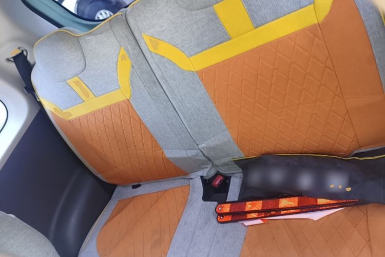 Used CHANGAN NEVO Lumin 2023 205km Xiangqin Version Left Rear Seat