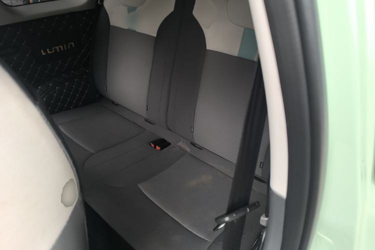 Used CHANGAN NEVO Lumin 2023 205km Xiangqin Version Left Rear Seat