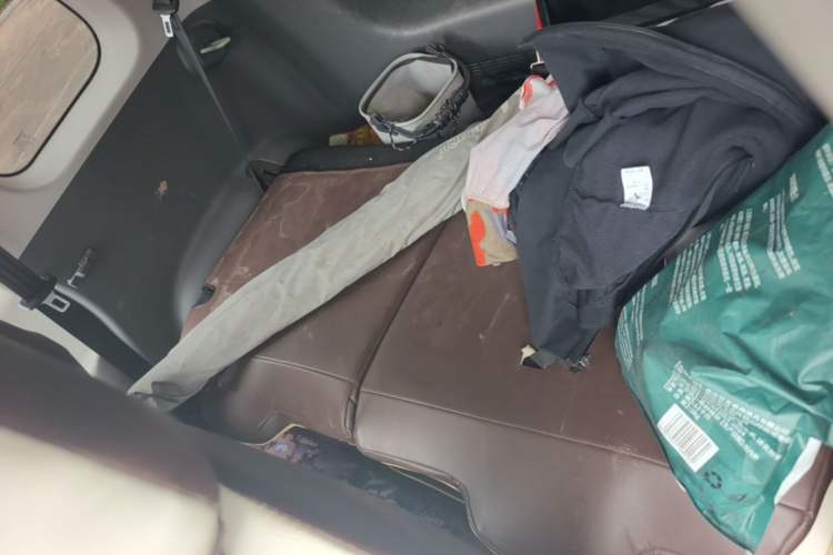 Used CHANGAN NEVO Lumin 2023 205km Xiangqin Version Left Rear Seat