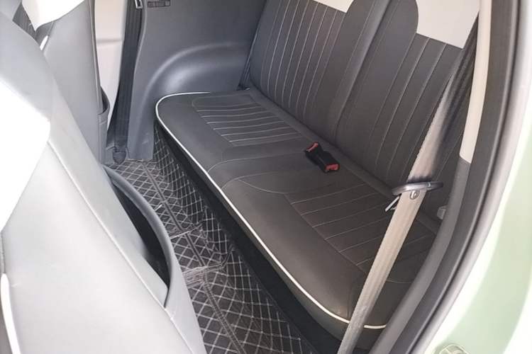 Used CHANGAN NEVO Lumin 2023 205km Xiangqin Version Left Rear Seat