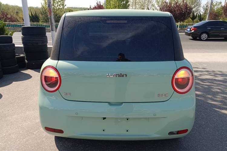 Used CHANGAN NEVO Lumin 2023 205km Xiangqin Version Rear