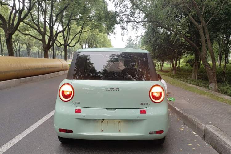 Used CHANGAN NEVO Lumin 2023 205km Xiangqin Version Rear