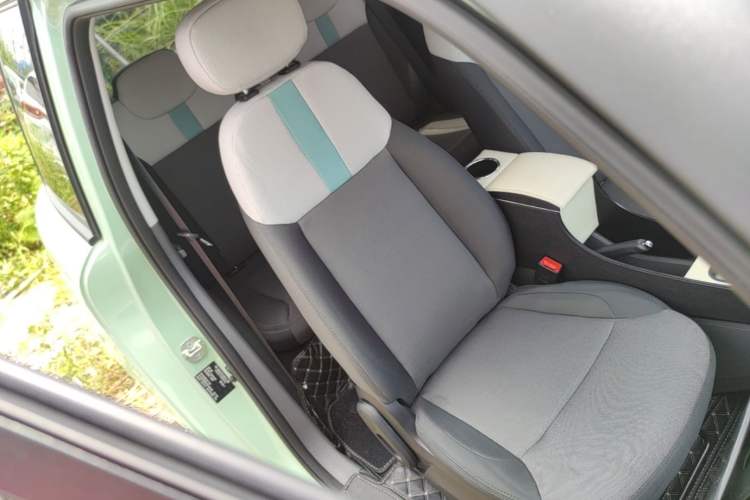 Used CHANGAN NEVO Lumin 2023 205km Xiangqin Version Right Front Seat
