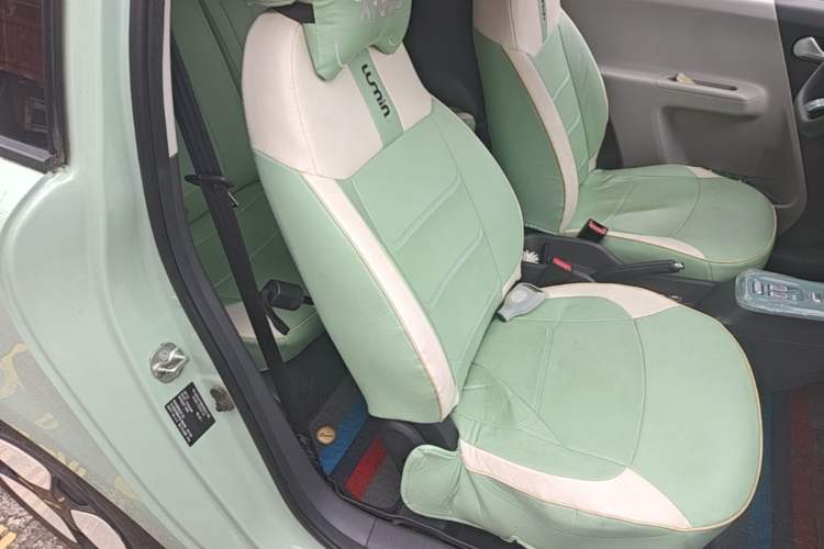 Used CHANGAN NEVO Lumin 2023 205km Xiangqin Version Right Front Seat