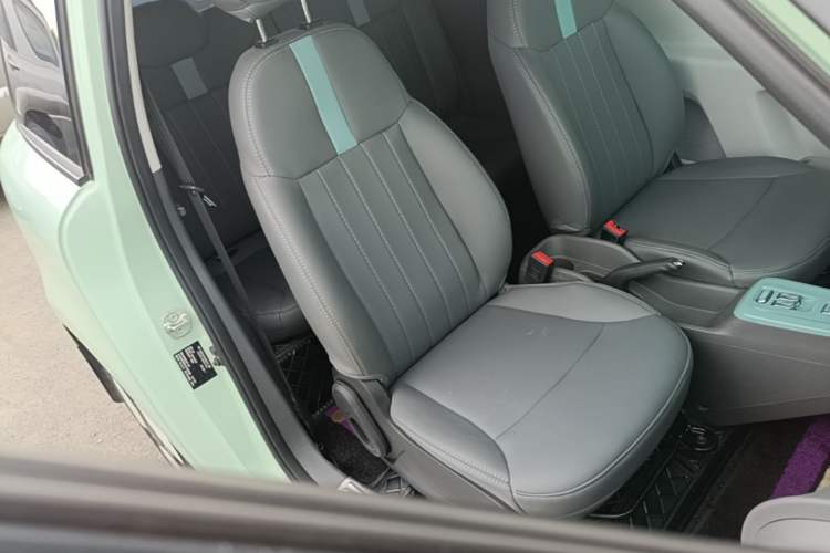 Used CHANGAN NEVO Lumin 2023 301km Honey Dew Edition Right Front Seat