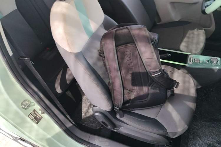 Used CHANGAN NEVO Lumin 2023 205km Xiangqin Version Right Front Seat