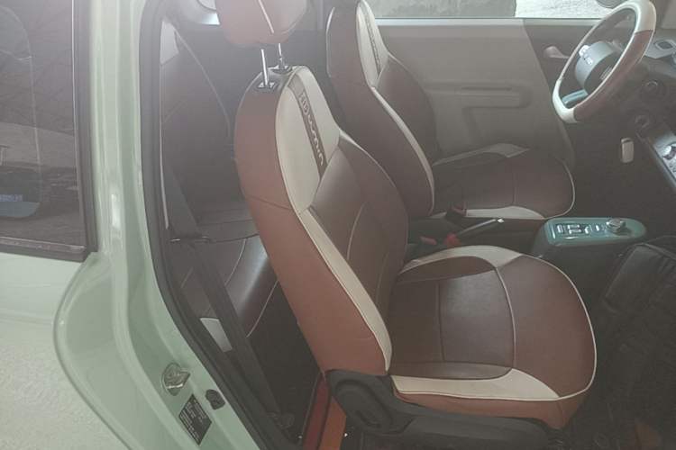 Used CHANGAN NEVO Lumin 2023 205km Xiangqin Version Right Front Seat