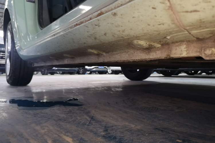 Used CHANGAN NEVO Lumin 2023 205km Xiangqin Version Right Side Sill