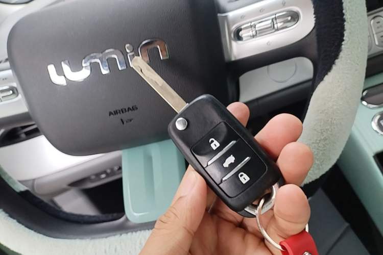 Used CHANGAN NEVO Lumin 2023 205km Xiangqin Version Vehicle Key