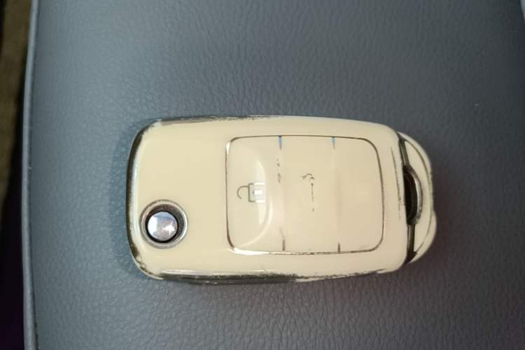 Used CHANGAN NEVO Lumin 2023 301km Honey Dew Edition Vehicle Key