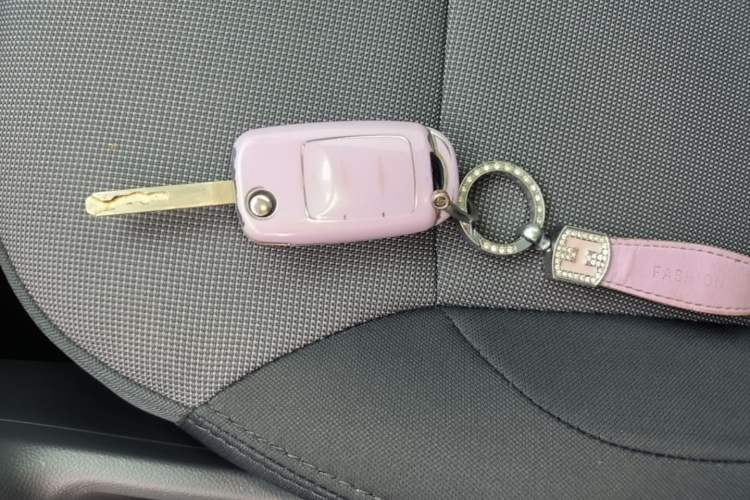 Used CHANGAN NEVO Lumin 2023 205km Xiangqin Version Vehicle Key