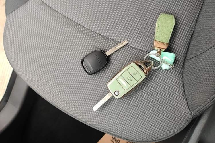 Used CHANGAN NEVO Lumin 2023 205km Xiangqin Version Vehicle Key