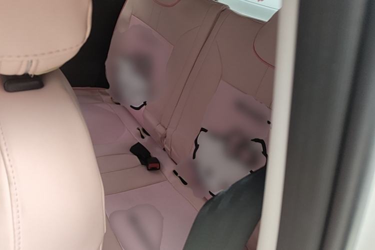 Used CHANGAN NEVO Lumin 2023 301km Honey Dew Edition Left Rear Seat