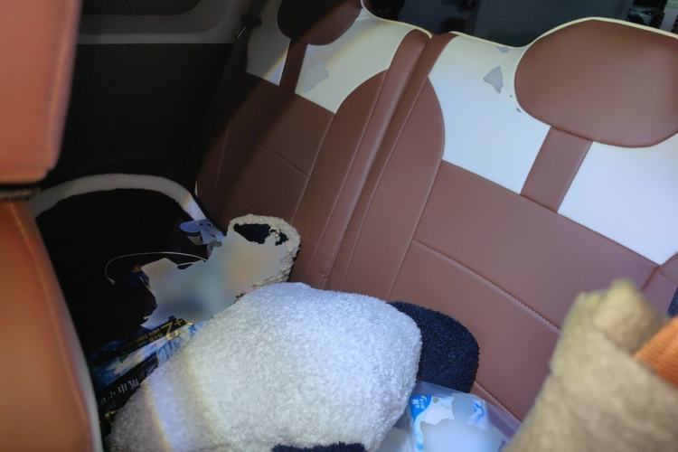 Used CHANGAN NEVO Lumin 2023 205km Xiangqin Version Left Rear Seat