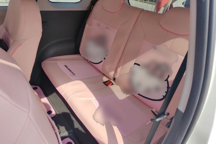 Used CHANGAN NEVO Lumin 2023 205km Xiangqin Version Left Rear Seat