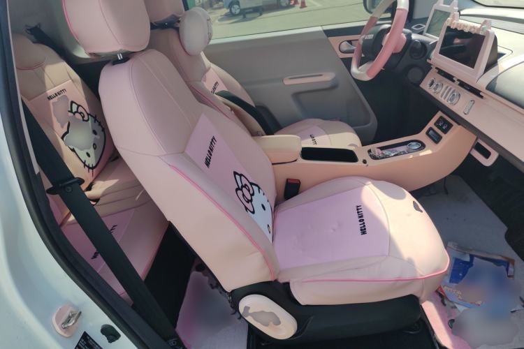 Used CHANGAN NEVO Lumin 2023 205km Xiangqin Version Right Front Seat