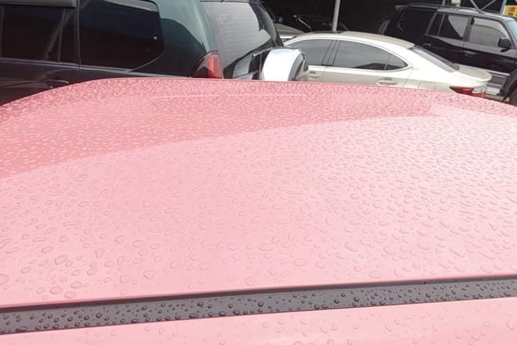 Used CHANGAN NEVO Lumin 2023 301km Honey Dew Edition Roof