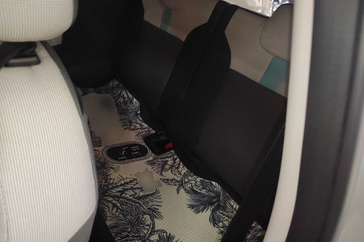 Used CHANGAN NEVO Lumin 2023 205km Xiangqin Version Left Rear Seat