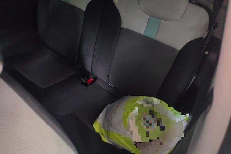 Used CHANGAN NEVO Lumin 2023 301km Honey Dew Edition Left Rear Seat