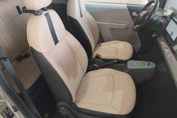 Used CHANGAN NEVO Lumin 2023 205km Xiangqin Version Right Front Seat
