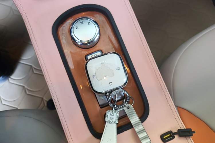 Used CHANGAN NEVO Lumin 2023 205km Xiangqin Version Vehicle Key