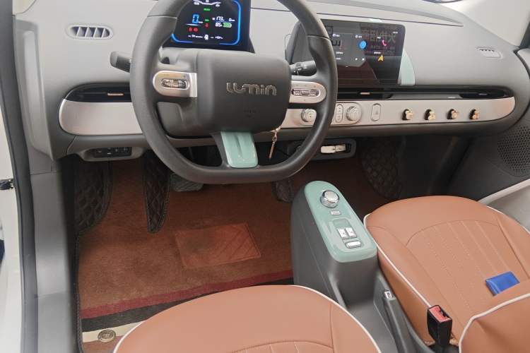 Used CHANGAN NEVO Lumin 2023 205km Xiangqin Version Center Console