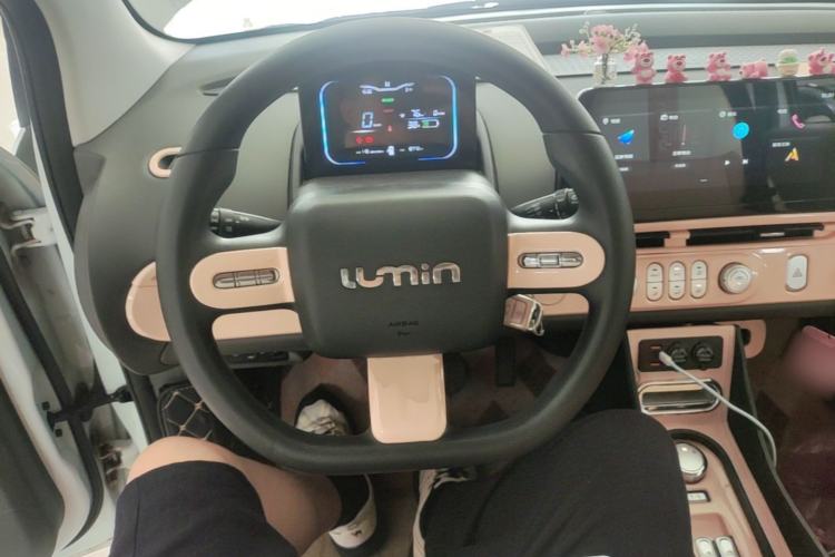 Used CHANGAN NEVO Lumin 2023 205km Xiangqin Version Center Console