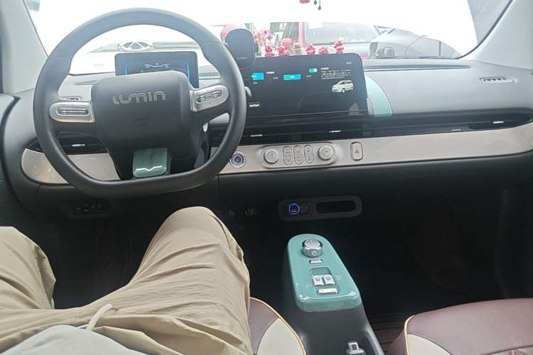 Used CHANGAN NEVO Lumin 2023 205km Xiangqin Version Center Console